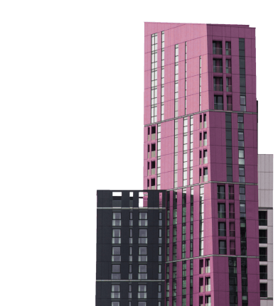 Development project